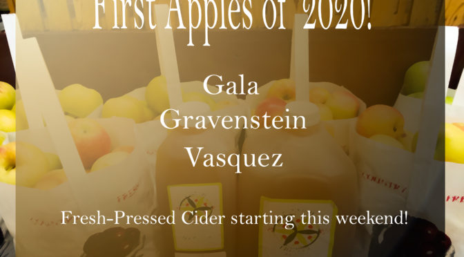 First Apples of 2020 Now Available! 8-22-20
