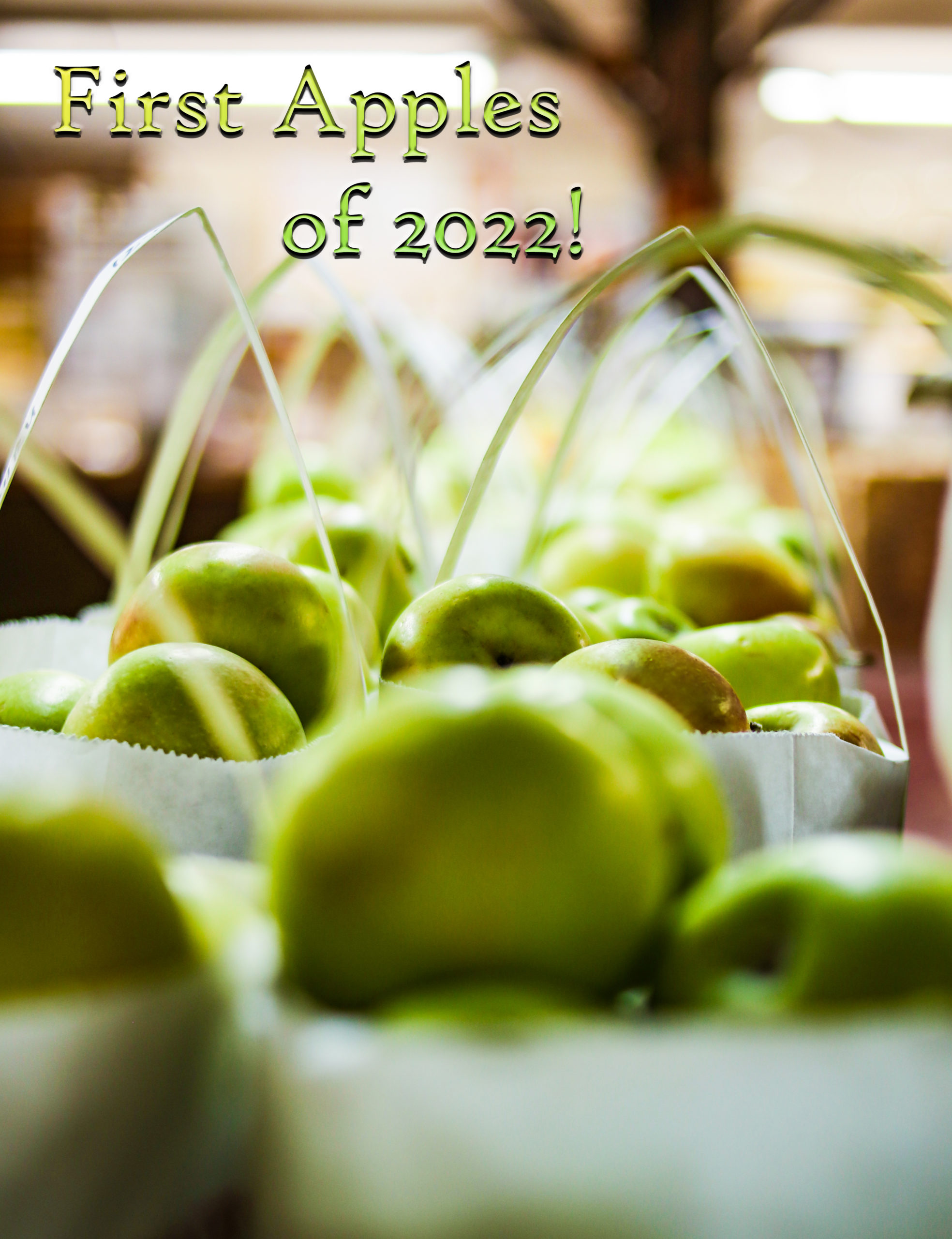 First Apples of 2022!