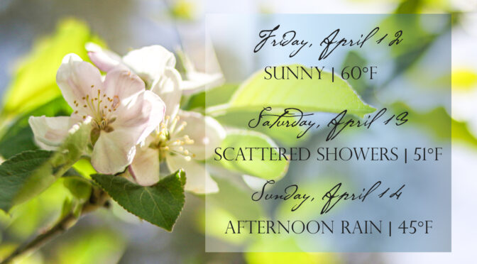 April 12 –  14: Springtime at the Ranch